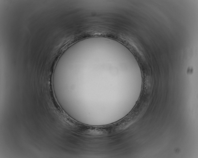 X0000097620545200802290822