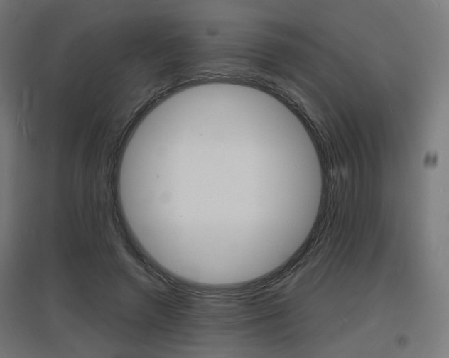 X0000097620546200802290822