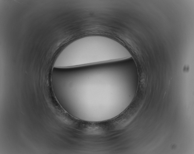 X0000097620547200802290822