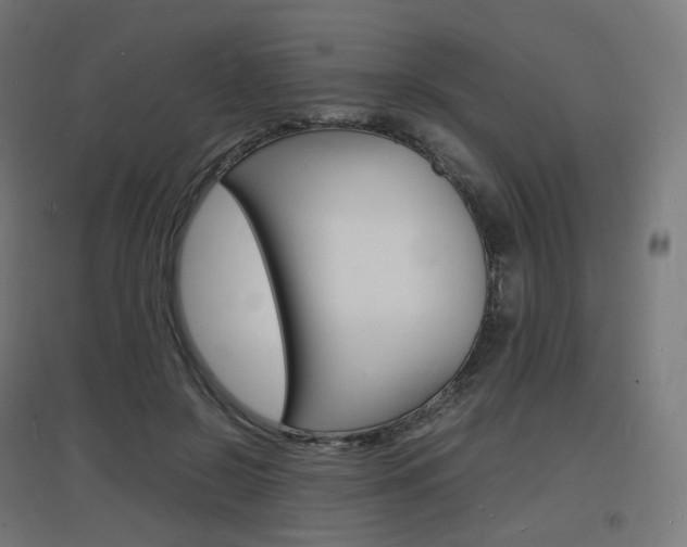 X0000097620550200802290822