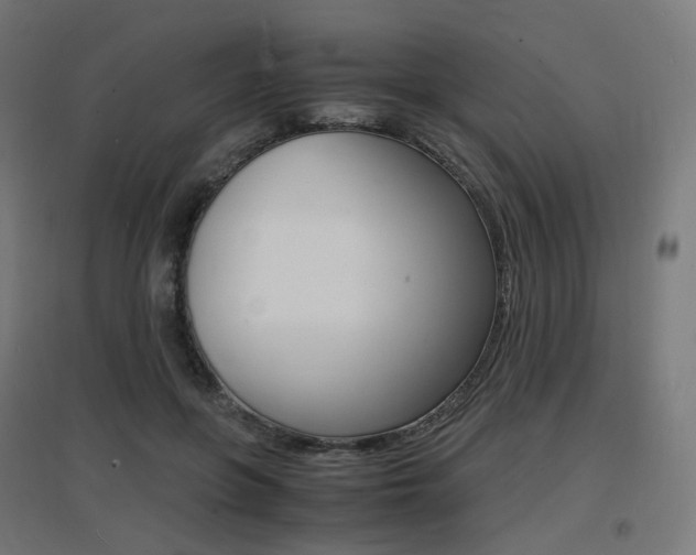 X0000097620551200802290822