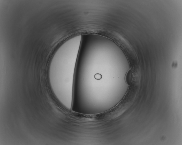 X0000097620552200802290822