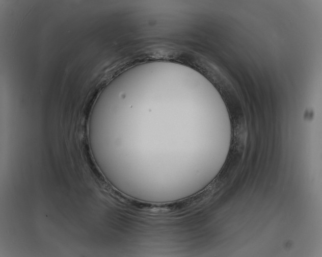 X0000097620554200802290822