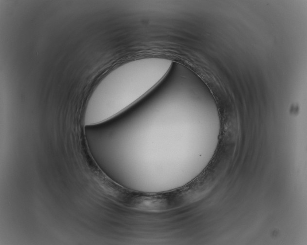 X0000097620555200802290822