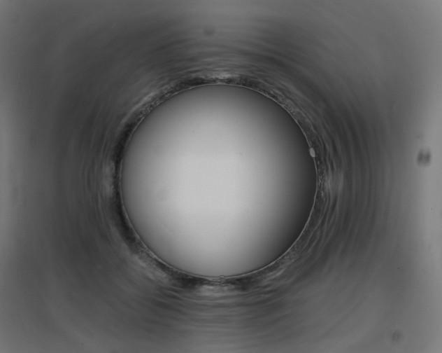 X0000097620556200802290822