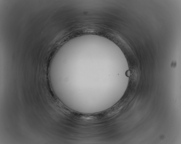 X0000097620557200802290822