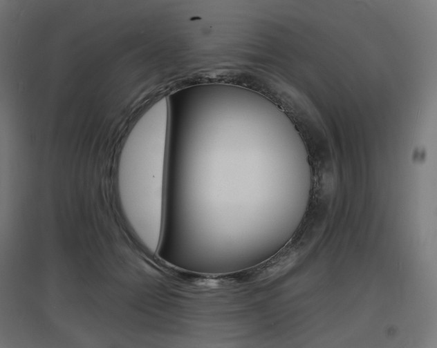 X0000097620558200802290822