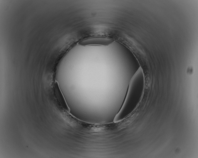 X0000097620560200802290822