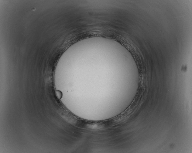X0000097620561200802290822