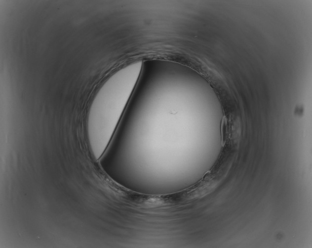 X0000097620562200802290823