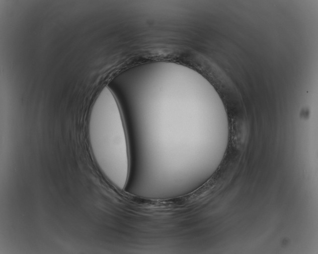 X0000097620563200802290823