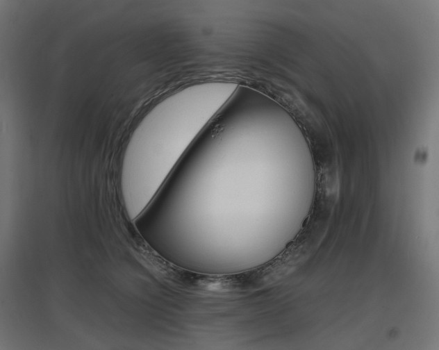 X0000097620564200802290823