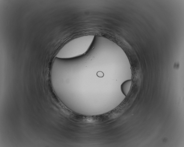 X0000097620565200802290823
