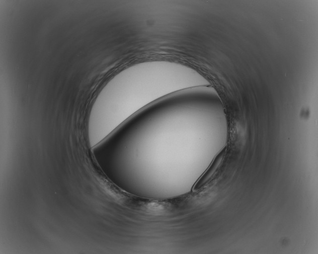 X0000097620566200802290823