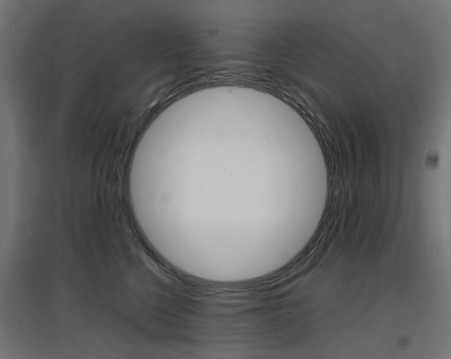 X0000097620568200802290823