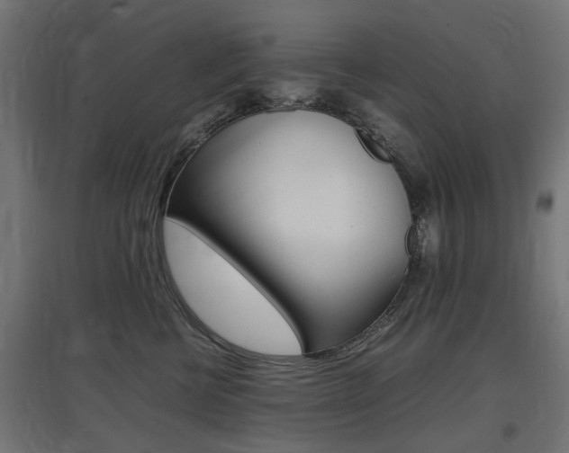 X0000097620570200802290823