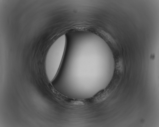 X0000097620572200802290823