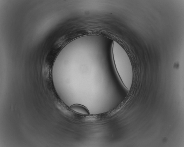X0000097620574200802290823