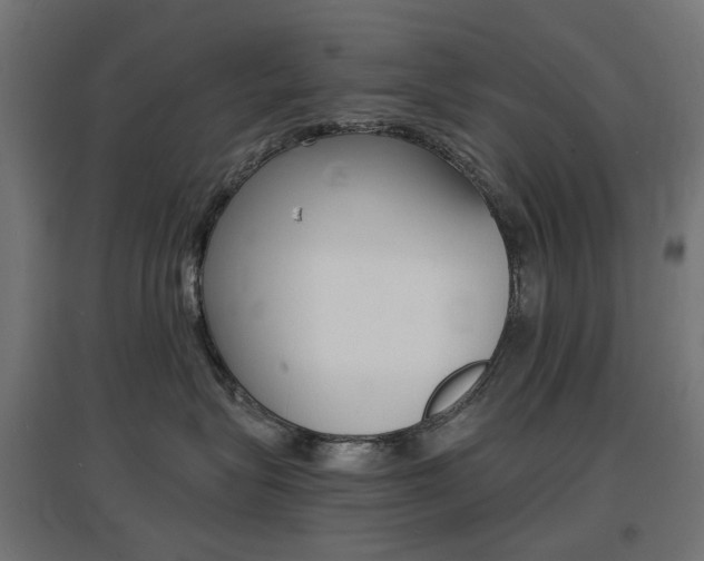 X0000097620575200802290823