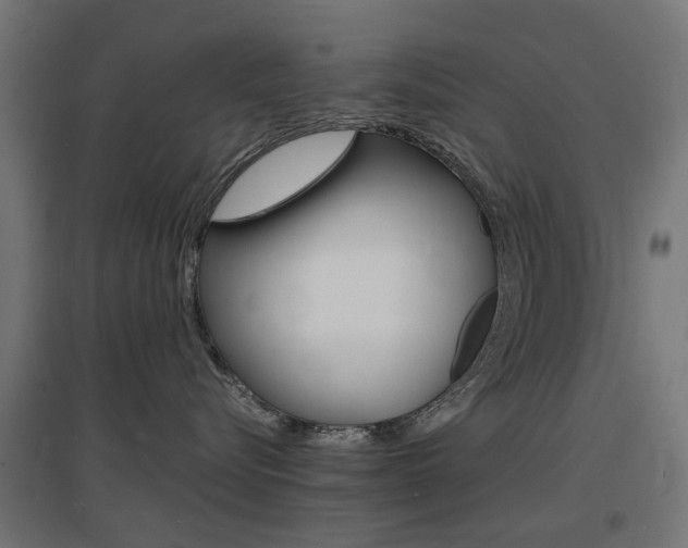X0000097620576200802290823