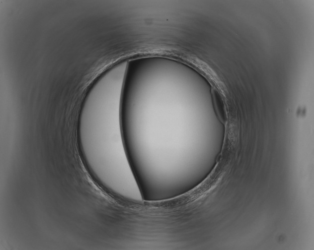 X0000097620577200802290822