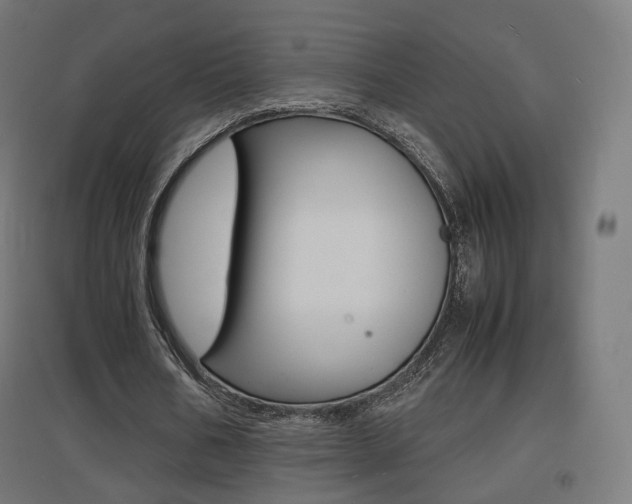 X0000097620578200802290822