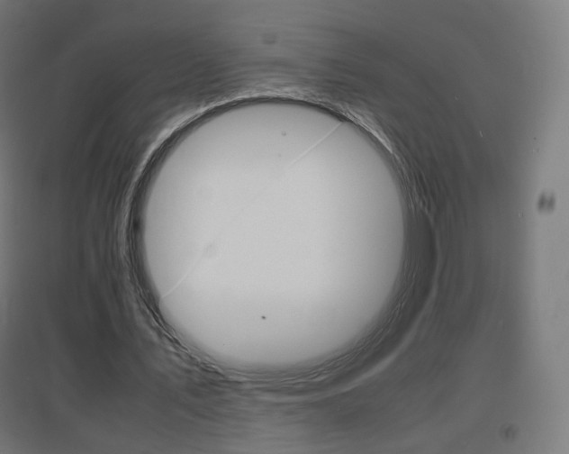 X0000097620579200802290822