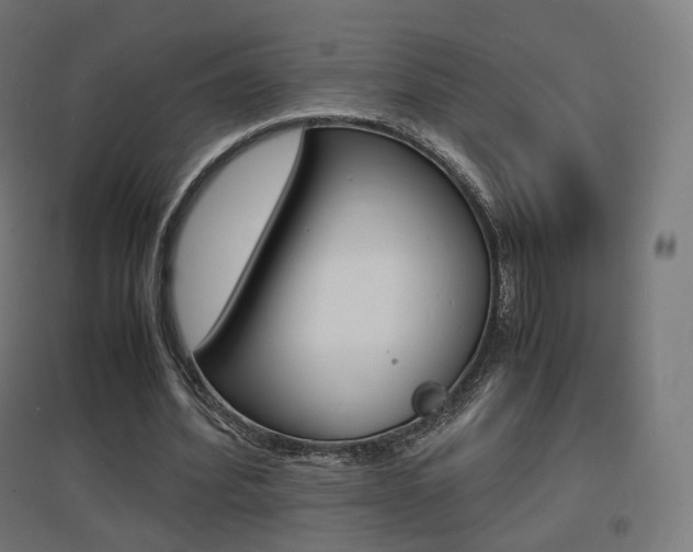 X0000097620580200802290822