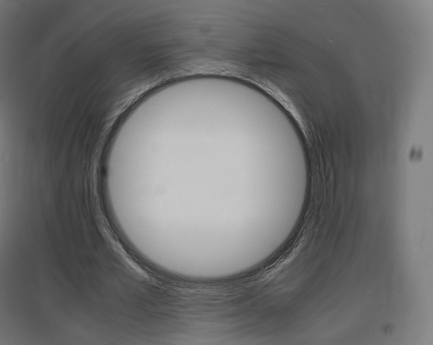 X0000097620581200802290822