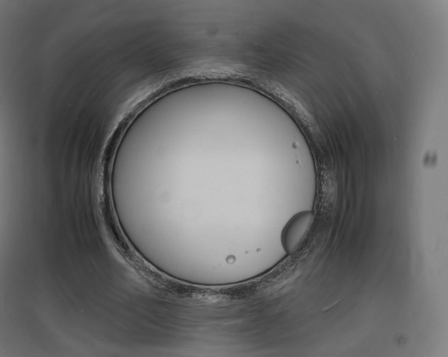X0000097620582200802290822