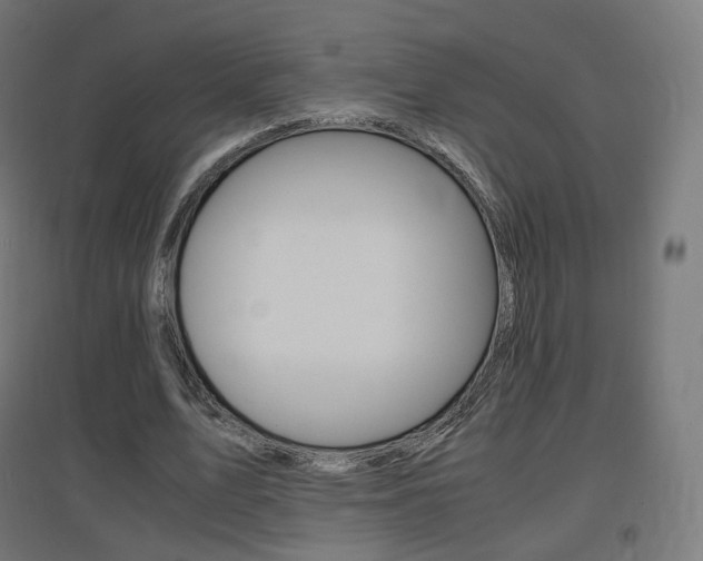 X0000097620583200802290822