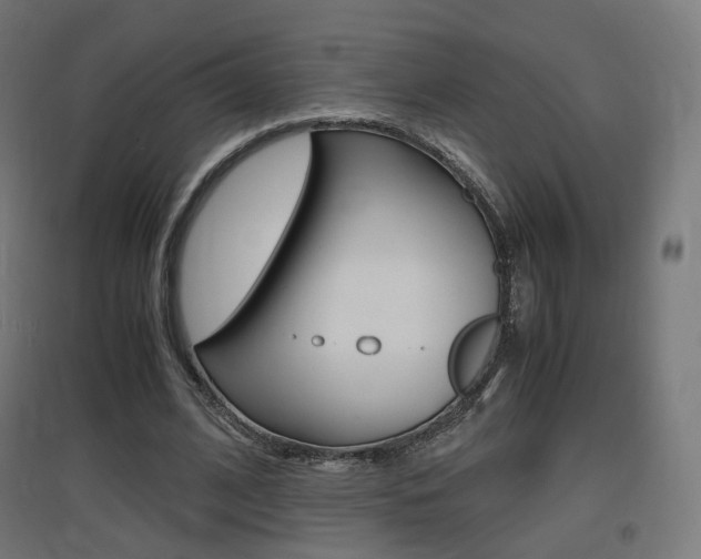 X0000097620584200802290822