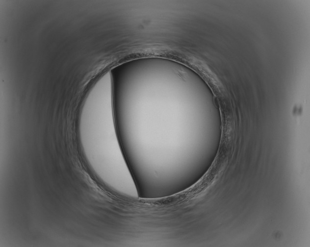 X0000097620585200802290822