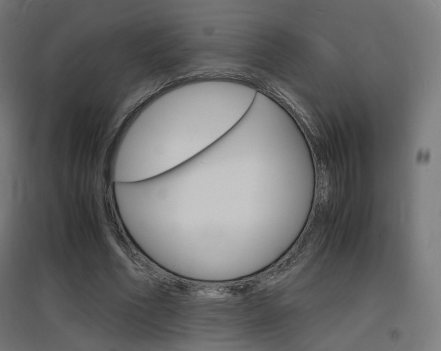 X0000097620586200802290822