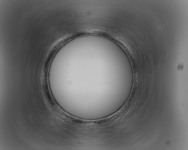 X0000097620587200802290822