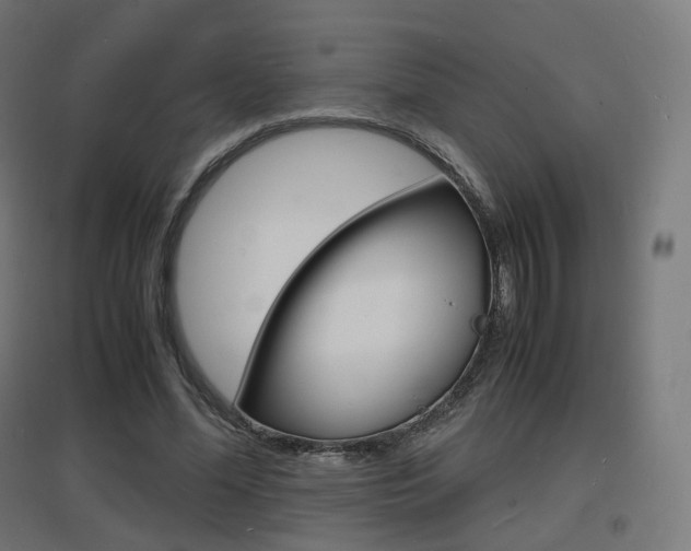 X0000097620588200802290822