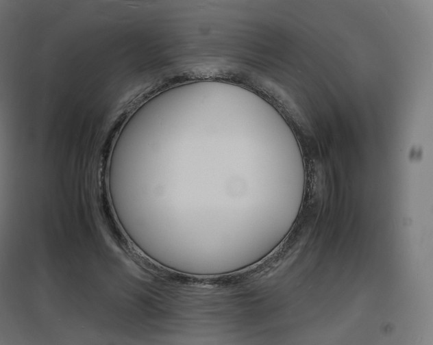 X0000097620590200802290822