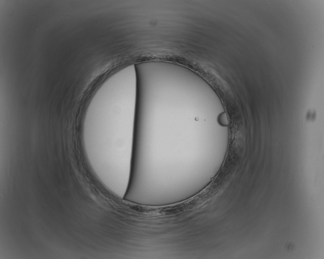 X0000097620591200802290822