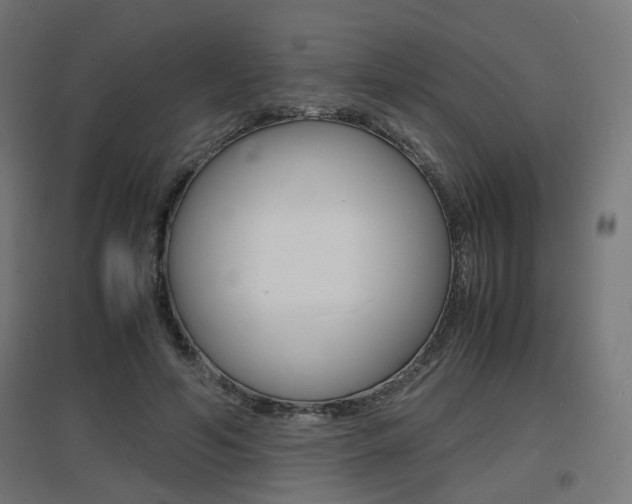 X0000097620594200802290822