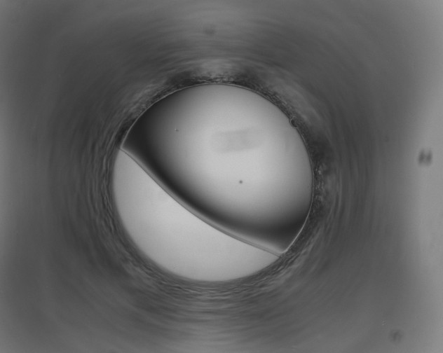 X0000097620597200802290822