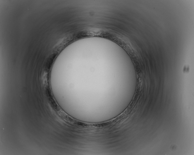 X0000097620598200802290822