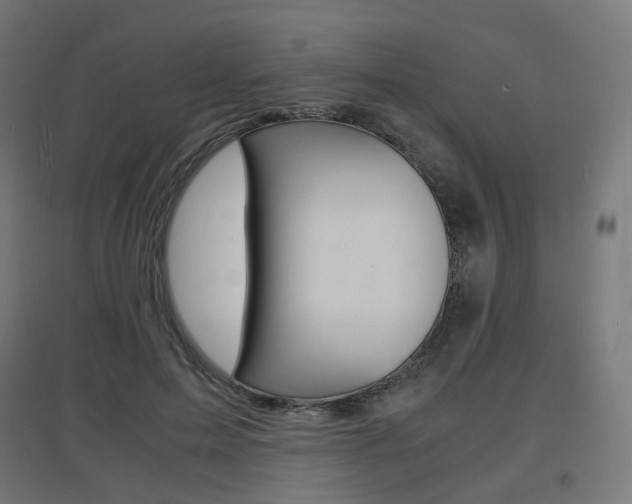 X0000097620599200802290822