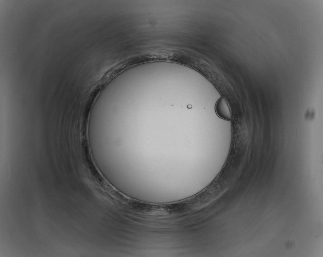 X0000097620600200802290822