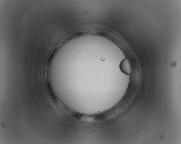 X0000097620602200802290822
