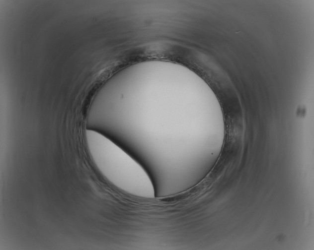 X0000097620603200802290822