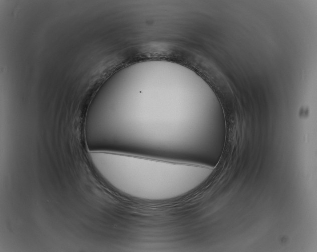 X0000097620604200802290822