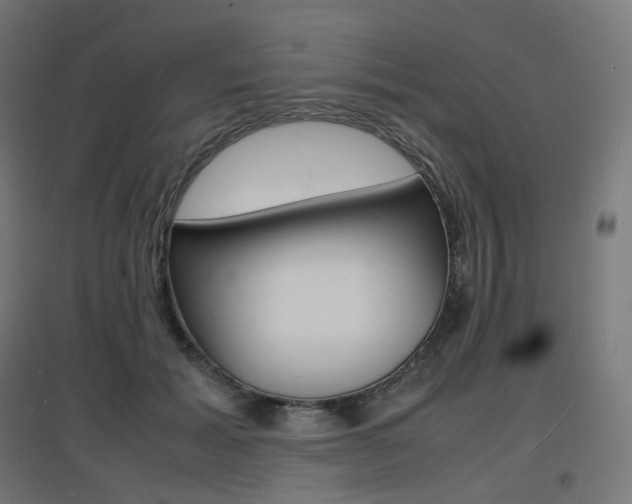 X0000097620605200802290822