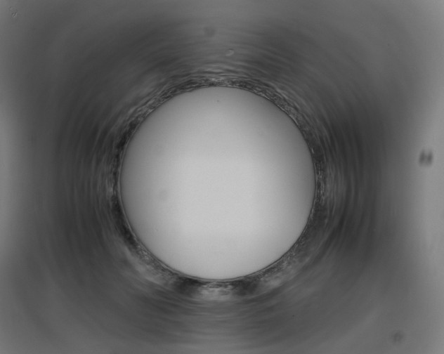 X0000097620606200802290822
