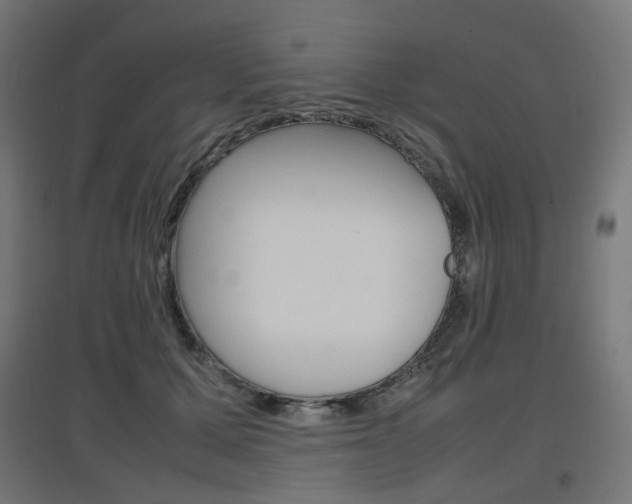 X0000097620607200802290822