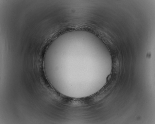 X0000097620608200802290822